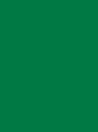 715   Chenille Green 12  5000 m  6020