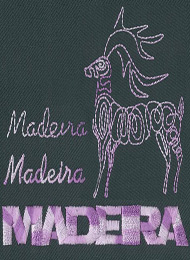 911   MADEIRA Classic No.40 1000m