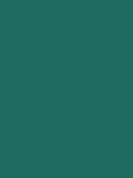 719   POLYNEON GREEN GRS 1000 m 1849